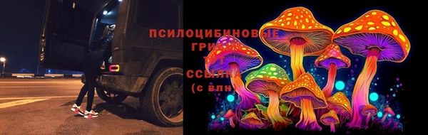 герыч Алзамай