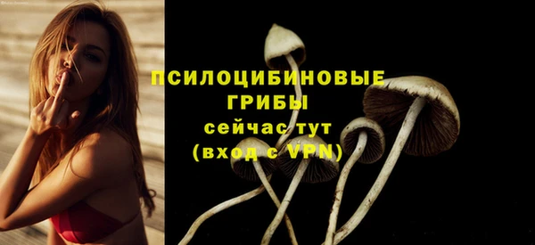 герыч Алзамай