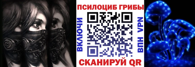 Галлюциногенные грибы прущие грибы  Купить где  Шлиссельбург 